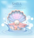 Shell Elegant Poster with Text Vector Illustration