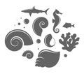 Shell and fish. Great Barrier Reef Royalty Free Stock Photo