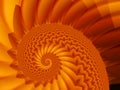 Shell fractal