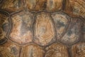 The shell of a giant turtle, close-up. Background texture and carapace pattern. Turtle shell texture details Royalty Free Stock Photo