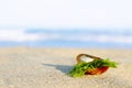 Shell with green seaweed are on light sand. Royalty Free Stock Photo