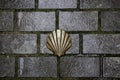 Shell Camino Santiago ground Royalty Free Stock Photo