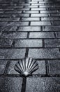 Shell Camino Santiago ground Royalty Free Stock Photo