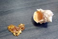 A shell and a handful of amber arranged in the shape of a heart. Royalty Free Stock Photo