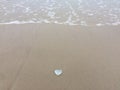 Love is romantic, shell heart-shaped on the sand beach. Royalty Free Stock Photo