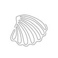 SHELL LINE ART. Vector sea shell. Continuous Line Drawing Vector Illustration Royalty Free Stock Photo