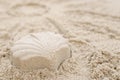 Shell made of sand on a sandy beach