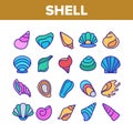 Shell And Marine Conch Collection Icons Set Vector Royalty Free Stock Photo