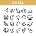 Shell And Marine Conch Collection Icons Set Vector Royalty Free Stock Photo