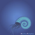 Shell nautilus in ocean