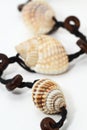 Shell necklace