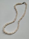 Shell necklace isolated