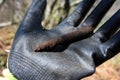 Shell of an old World War II military bullet found rusty underground and excavated Royalty Free Stock Photo