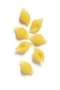 Shell Pasta (Conchiglie) on White Background Royalty Free Stock Photo