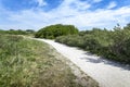 A shell path through the Katwijk dunes on a sunny day.