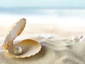 Shell with a pearl Royalty Free Stock Photo