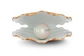 Shell with pearl inside. Natural open pearl shell. 3D illustration