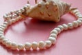 Shell with a pearl necklace Royalty Free Stock Photo