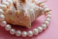 Shell with a pearl necklace Royalty Free Stock Photo