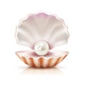 Shell Pearl Realistic Isolated Image Royalty Free Stock Photo