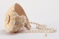 Shell and Pearls Royalty Free Stock Photo