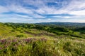 Shell Ridge and Mount Diablo State Park Royalty Free Stock Photo