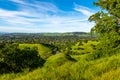 Shell Ridge and Mount Diablo State Park