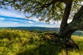 Shell Ridge and Mount Diablo State Park