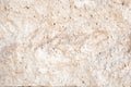 Shell rock. Finishing, front stone. Light beige. Texture, background. Copy space Royalty Free Stock Photo