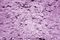 Shell rock stone close-up in purple tone