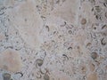 Shell rock texture. Natural stone in the decoration of houses. Royalty Free Stock Photo