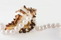 Shell and rope of pearls Royalty Free Stock Photo