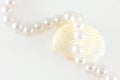 Shell and rope of pearls Royalty Free Stock Photo