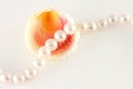 Shell and rope of pearls Royalty Free Stock Photo