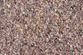 Shell sand background Royalty Free Stock Photo