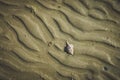Shell sand