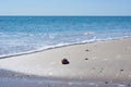 Shell in the sand the blue sea Royalty Free Stock Photo