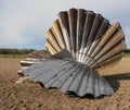 Shell sculpture