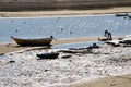 Shell seekers on the ria, Algarve - Portugal