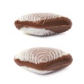 Shell shaped chocolate candy Royalty Free Stock Photo