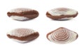 Shell shaped chocolate candy Royalty Free Stock Photo