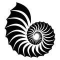 Shell silhouette