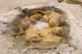 Shell spring biscuit basin upper geyser basin near old faithful geyser at yellowstone national park Royalty Free Stock Photo