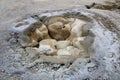 Shell Spring in Biscuit Geyser Basin in Yellowstone National Park, USA Royalty Free Stock Photo