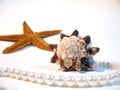 Shell, star, pearls Royalty Free Stock Photo