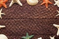 Shell and starfish on brown fishing net Royalty Free Stock Photo