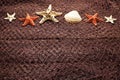 Shell and starfish on brown fishing net and wooden background Royalty Free Stock Photo