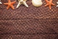 Shell and starfish on fishing net and wooden background Royalty Free Stock Photo