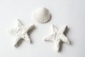 Shell and starfish, decor