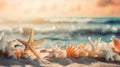 shell and starfish in sunset beach with blur background Royalty Free Stock Photo